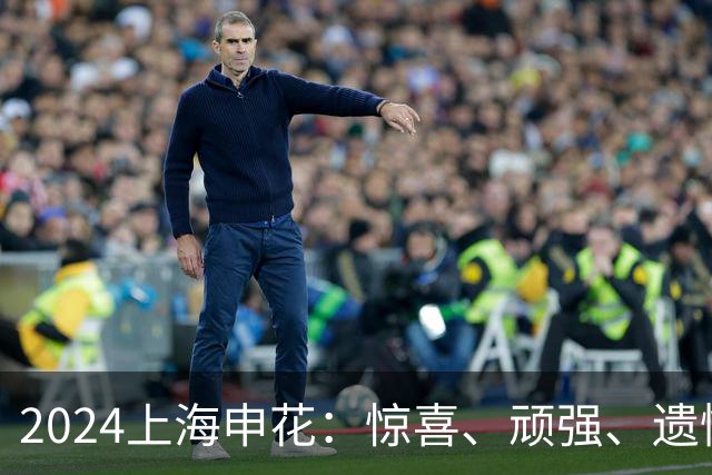 2024上海申花：惊喜、顽强、遗憾--明年拿冠军